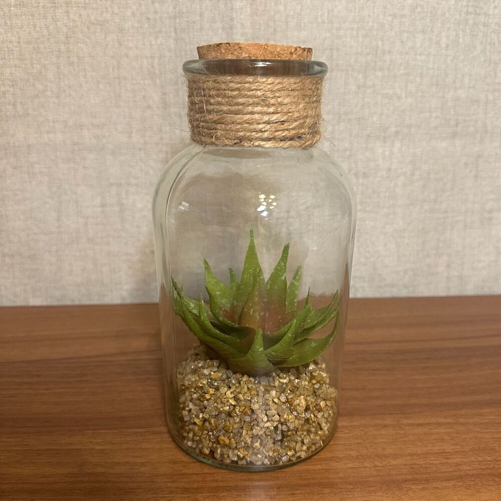 Faux Succulent Plant in Glass Terrarium - Picture 5 of 6